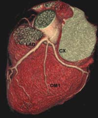 Fig1-C