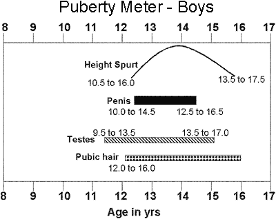 Puberty Meter - Boys