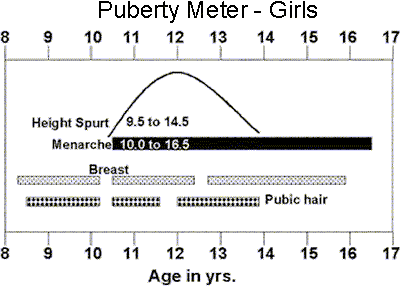 Puberty Meter - Girls